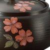 Tokoname Ware Y523 Takeharu Teapot, Kiln Hen Cherry Blossoms, Combed Cherry Blossoms view 2