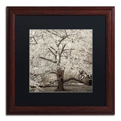 Trademark Fine Art ALI5235-W1616BMF Hampton Magnolia II by Alan Blaustein, Black Matte, Wood Frame 16x16-Inch