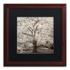 Trademark Fine Art ALI5235-W1616BMF Hampton Magnolia II by Alan Blaustein, Black Matte, Wood Frame 16x16-Inch view 1