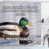 Ambesonne Animal Shower Curtain, Mallard Duck Swimming on The Lake River Green Head Feathers Nature Design Print, Cloth Fabric Bathroom Decor Set with Hooks, 69" W x 84" L, Pale Grey Multicolor view 1