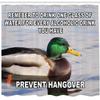 Ambesonne Animal Shower Curtain, Mallard Duck Swimming on The Lake River Green Head Feathers Nature Design Print, Cloth Fabric Bathroom Decor Set with Hooks, 69" W x 84" L, Pale Grey Multicolor view 2