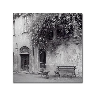 Trademark Fine Art ALI5170-C1818GG Liguria I by Alan Blaustein, 18x18-Inch