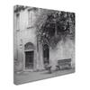 Trademark Fine Art ALI5170-C1818GG Liguria I by Alan Blaustein, 18x18-Inch view 2