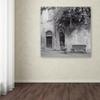 Trademark Fine Art ALI5170-C1818GG Liguria I by Alan Blaustein, 18x18-Inch view 3