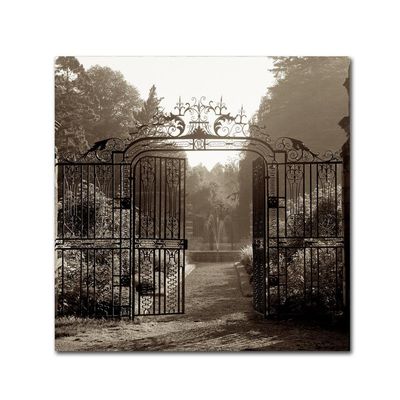 Trademark Fine Art ALI5110-C1818GG Hampton Gates III by Alan Blaustein, 18x18-Inch