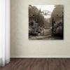 Trademark Fine Art ALI5110-C1818GG Hampton Gates III by Alan Blaustein, 18x18-Inch view 3