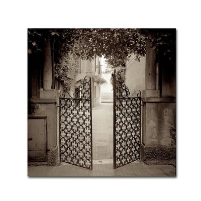Trademark Fine Art Venezia VI by Alan Blaustein, 18x18-Inch