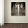 Trademark Fine Art Venezia VI by Alan Blaustein, 18x18-Inch view 3
