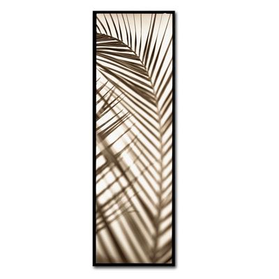 Trademark Fine Art Florison 72 by Alan Blaustein, 10x32-Inch