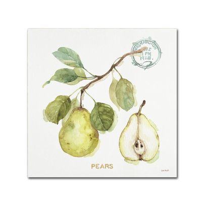 Trademark Fine Art My Greenhouse Fruit I by Lisa Audit, 18x18-Inch