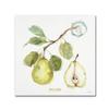 Trademark Fine Art My Greenhouse Fruit I by Lisa Audit, 18x18-Inch view 1