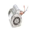 Grindmaster Cecilware W0320020 Motor, Drive Dual Cycle, 1/2hp view 1