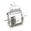 Grindmaster Cecilware W0320020 Motor, Drive Dual Cycle, 1/2hp view 4