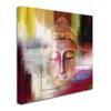 Trademark Fine Art Mark Ashkenazi 'Buddha Face 4' Canvas view 2