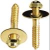 Plumb Pak Toilet Screw Set 1/4X2-1/2 PP23515 view 1