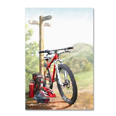 Trademark Fine Art ALI8984-C1624GG Canvas Art