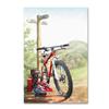 Trademark Fine Art ALI8984-C1624GG Canvas Art view 1