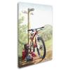 Trademark Fine Art ALI8984-C1624GG Canvas Art view 2