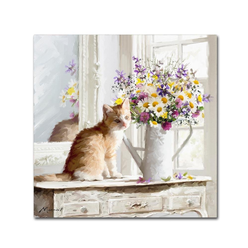 Trademark Fine Art ALI8668-C1818GG Canvas Art