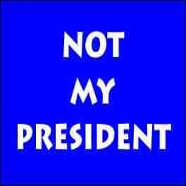 Not My President Refrigerator Magnet (African American Magnet)