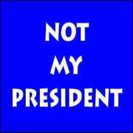 Not My President Refrigerator Magnet (African American Magnet)