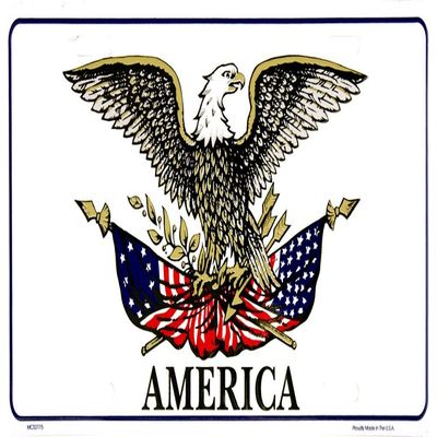 AES American USA Flag License Plate Eagle USA America Land of The Free Made in USA
