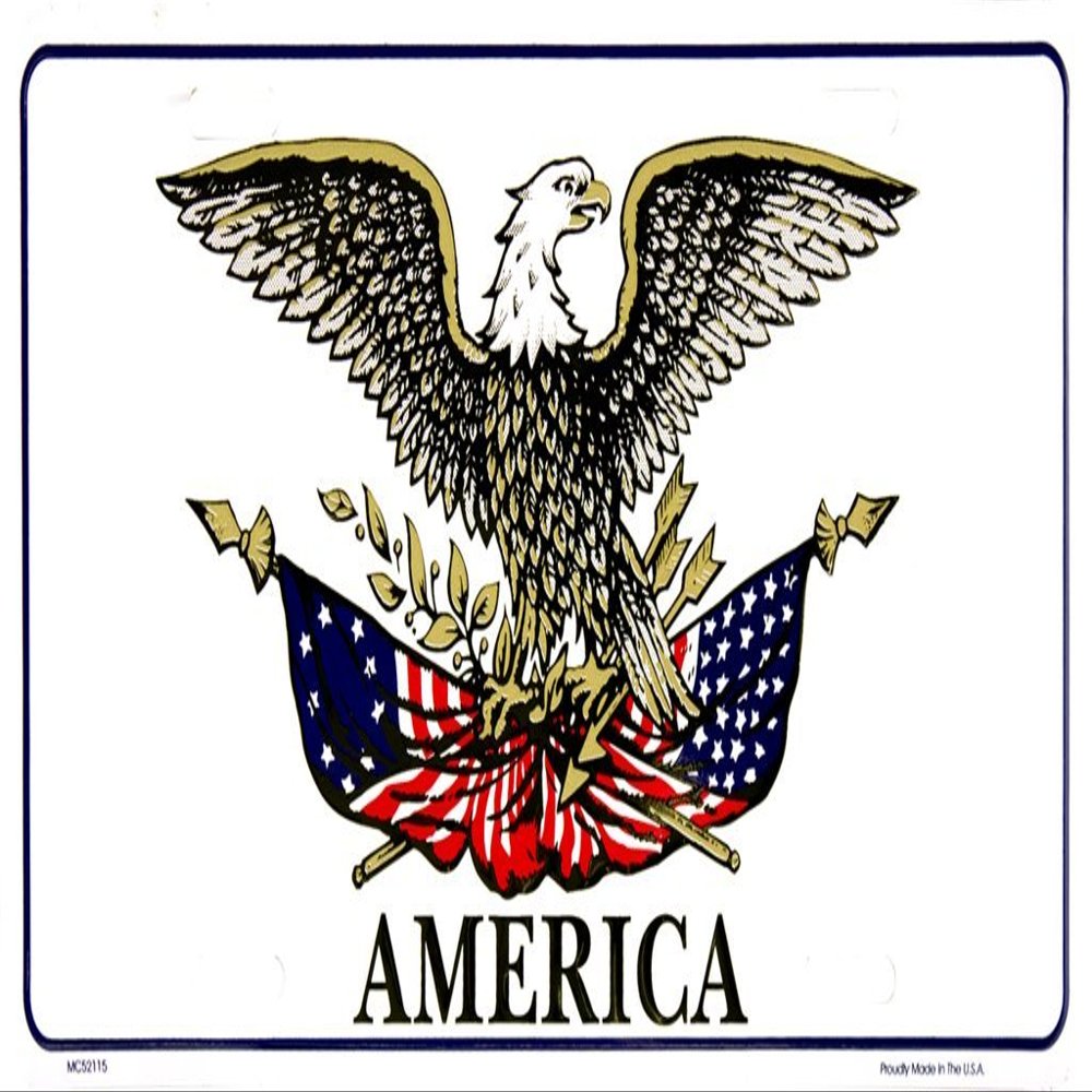 AES American USA Flag License Plate Eagle USA America Land of The Free Made in USA