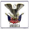 AES American USA Flag License Plate Eagle USA America Land of The Free Made in USA view 1