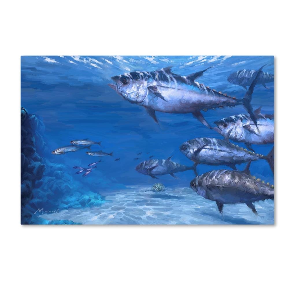 Trademark Fine Art Tuna by The Macneil Studio, 16x24-Inch-Inch