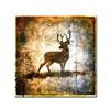 Trademark Fine Art High Country Deer by LightBoxJournal, 18x18-Inch-Inch view 1