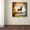 Trademark Fine Art High Country Deer by LightBoxJournal, 18x18-Inch-Inch view 2