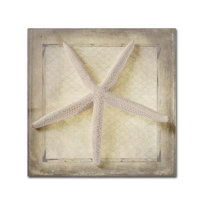 Trademark Fine Art Starfish by LightBoxJournal, 24x24-Inch-Inch