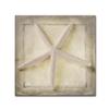 Trademark Fine Art Starfish by LightBoxJournal, 24x24-Inch-Inch view 1