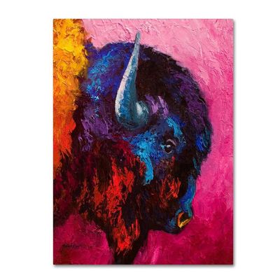 Ancient Soul by Marion Rose, 18x24-Inch Canvas Wall Art