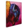 Ancient Soul by Marion Rose, 18x24-Inch Canvas Wall Art view 2