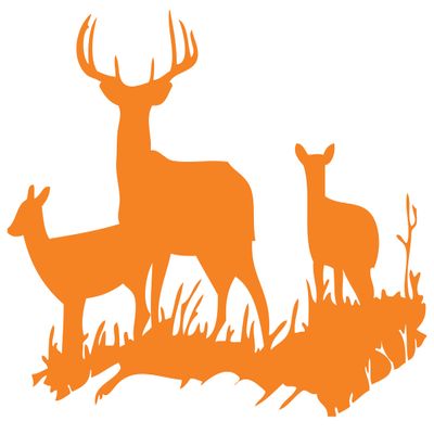 Orange 22'' X 31'' Buck Deer DOE Hunting Vinyl Wall Decals Quotes Sayings Words Art Decor Lettering Vinyl Wall Art Inspirational Uplifting