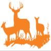 Orange 22'' X 31'' Buck Deer DOE Hunting Vinyl Wall Decals Quotes Sayings Words Art Decor Lettering Vinyl Wall Art Inspirational Uplifting view 1