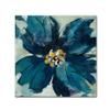 Trademark Fine Art WAP00797-C1818GG Canvas Art view 1