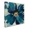 Trademark Fine Art WAP00797-C1818GG Canvas Art view 2
