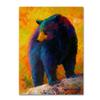 Checking Smorg by Marion Rose, 18x24-Inch Canvas Wall Art view 1