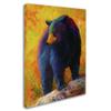 Checking Smorg by Marion Rose, 18x24-Inch Canvas Wall Art view 2