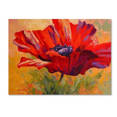 Trademark Fine Art Red Poppy II by Marion Rose, 18x24-Inch-Inch
