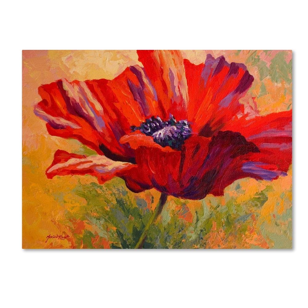 Trademark Fine Art Red Poppy II by Marion Rose, 18x24-Inch-Inch
