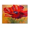 Trademark Fine Art Red Poppy II by Marion Rose, 18x24-Inch-Inch view 1