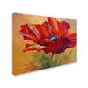 Trademark Fine Art Red Poppy II by Marion Rose, 18x24-Inch-Inch view 2