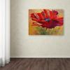 Trademark Fine Art Red Poppy II by Marion Rose, 18x24-Inch-Inch view 3