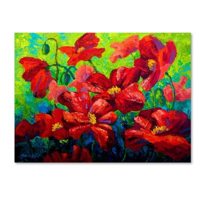 Trademark Fine Art Field of Poppies A by Marion Rose, 18x24-Inch-Inch
