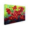 Trademark Fine Art Field of Poppies A by Marion Rose, 18x24-Inch-Inch view 2