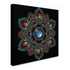 Trademark Fine Art ALI12977-C1818GG Canvas Art view 2
