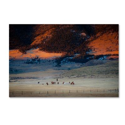 Trademark Fine Art Dan Ballard 'Rusher Ranch' Canvas